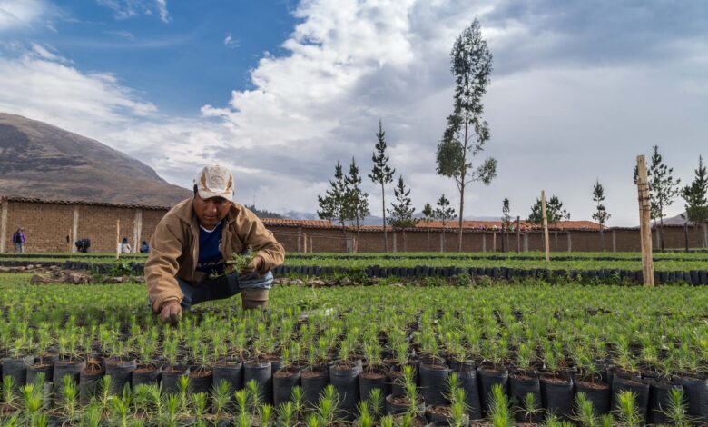 Economía circular: mipymes que buscan transformar la industria peruana
