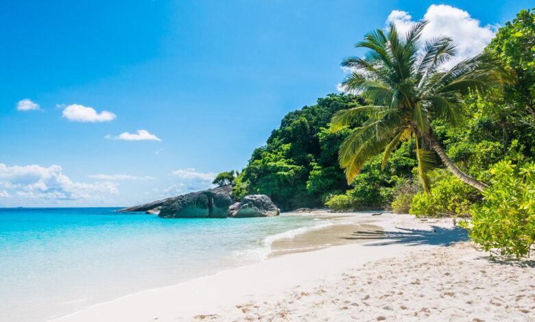 Las 4 joyas del Caribe: playas paradisíacas para tu próxima escapada