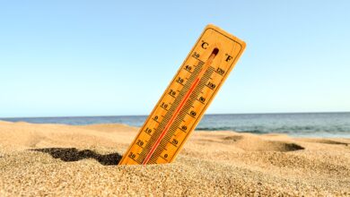 Verano: ¿Cómo cuidar nuestra salud ante altas temperaturas?