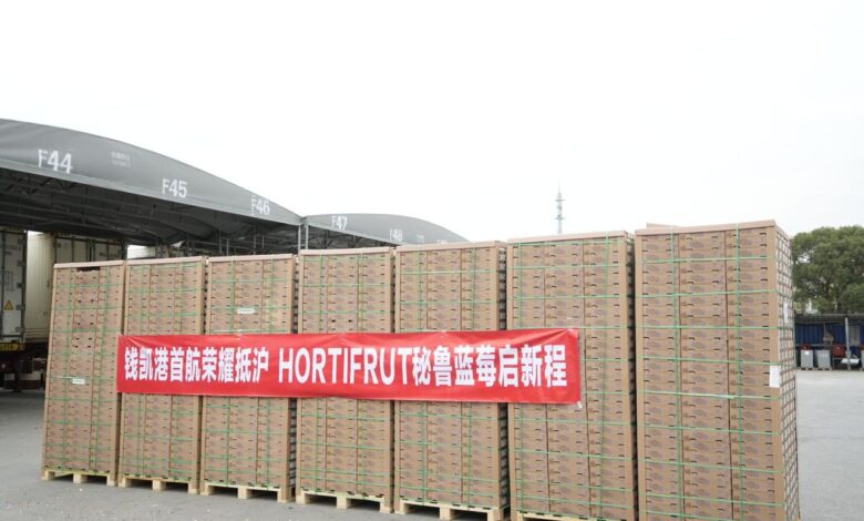 Arribó a China primer envío de arándanos de Hortifrut a través del Puerto de Chancay