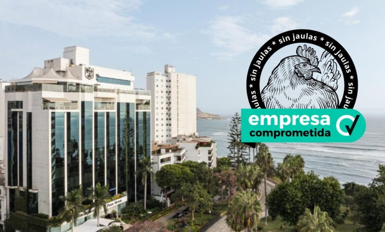 Cadena hotelera global se compromete a usar solo huevos de gallinas libres de jaulas