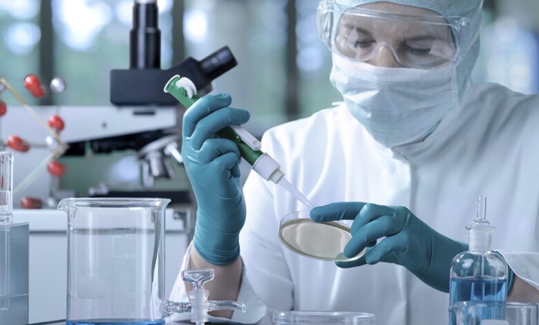 Adex Consulting identifica 57 productos prometedores en mercado paraguayo
