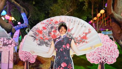 La tradición del Cherry Blossom Fest regresa al Circuito Mágico del Agua