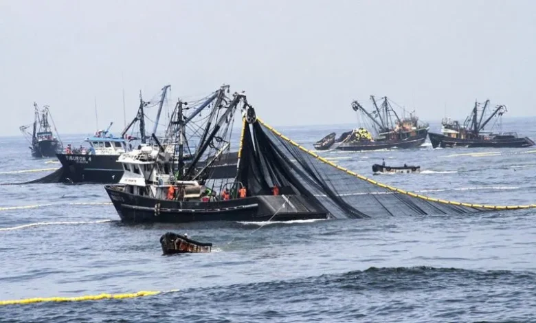 ENFEN activa vigilancia del Fenómeno El Niño