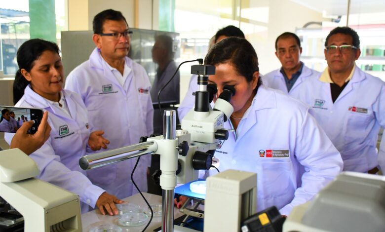 Día Mundial de la Creatividad y la Innovación: la ruta innovadora en el Perú