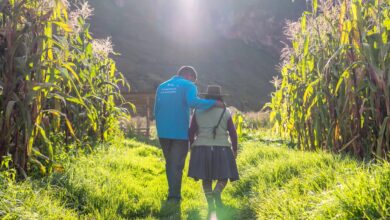 Los Andes incrementa sus utilidades en 8.5% y fortalece su rentabilidad al cierre del primer trimestre de 2025