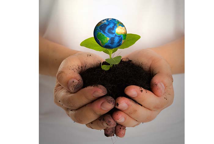 Agricultura regenerativa: una herramienta clave para alcanzar un futuro sostenible