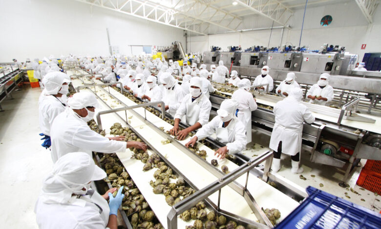 PRODUCE impulsa la innovación empresarial con financiamiento de hasta S/ 500,000