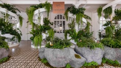 Natura llega a CASACOR 2025 con un espacio que conecta los sentidos con la naturaleza