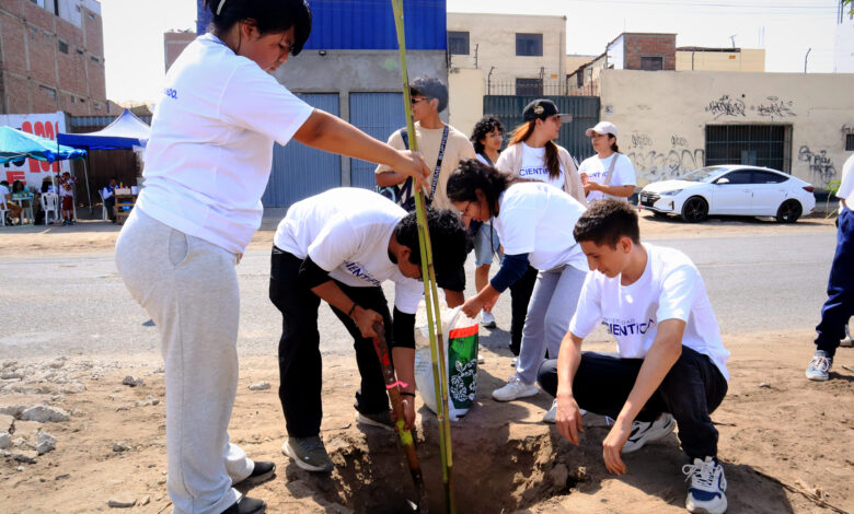 plantan más de 300 árboles para transformar alrededores del humedal pantanos de villa