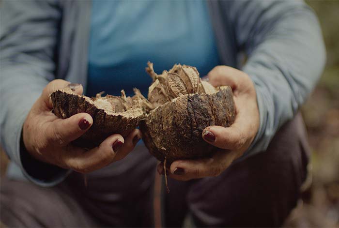 Natura transforma la colaboración con las comunidades amazónicas en un episodio de una serie de la BBC