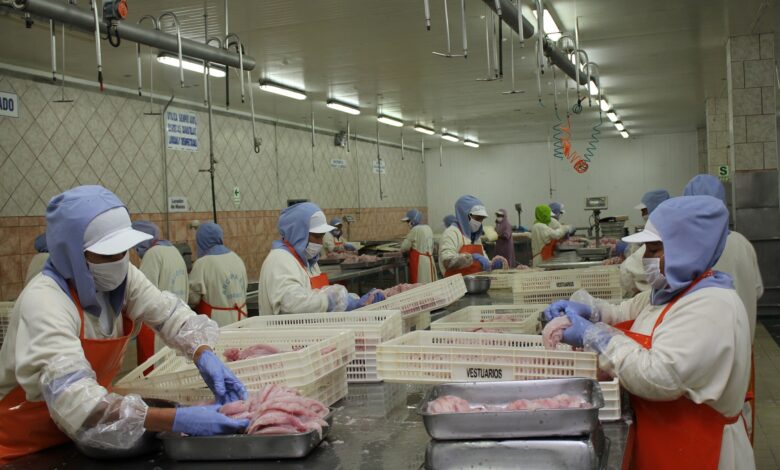Adex busca dinamizar exportación de oferta pesquera y acuícola