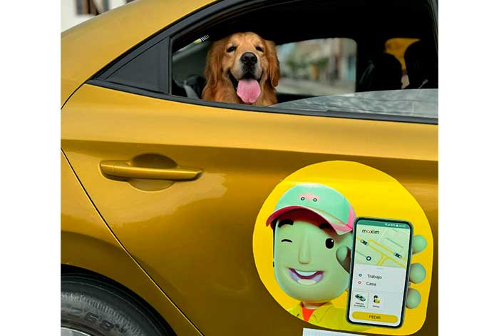 El traslado con mascotas, una necesidad cada vez más presente en la movilidad peruana