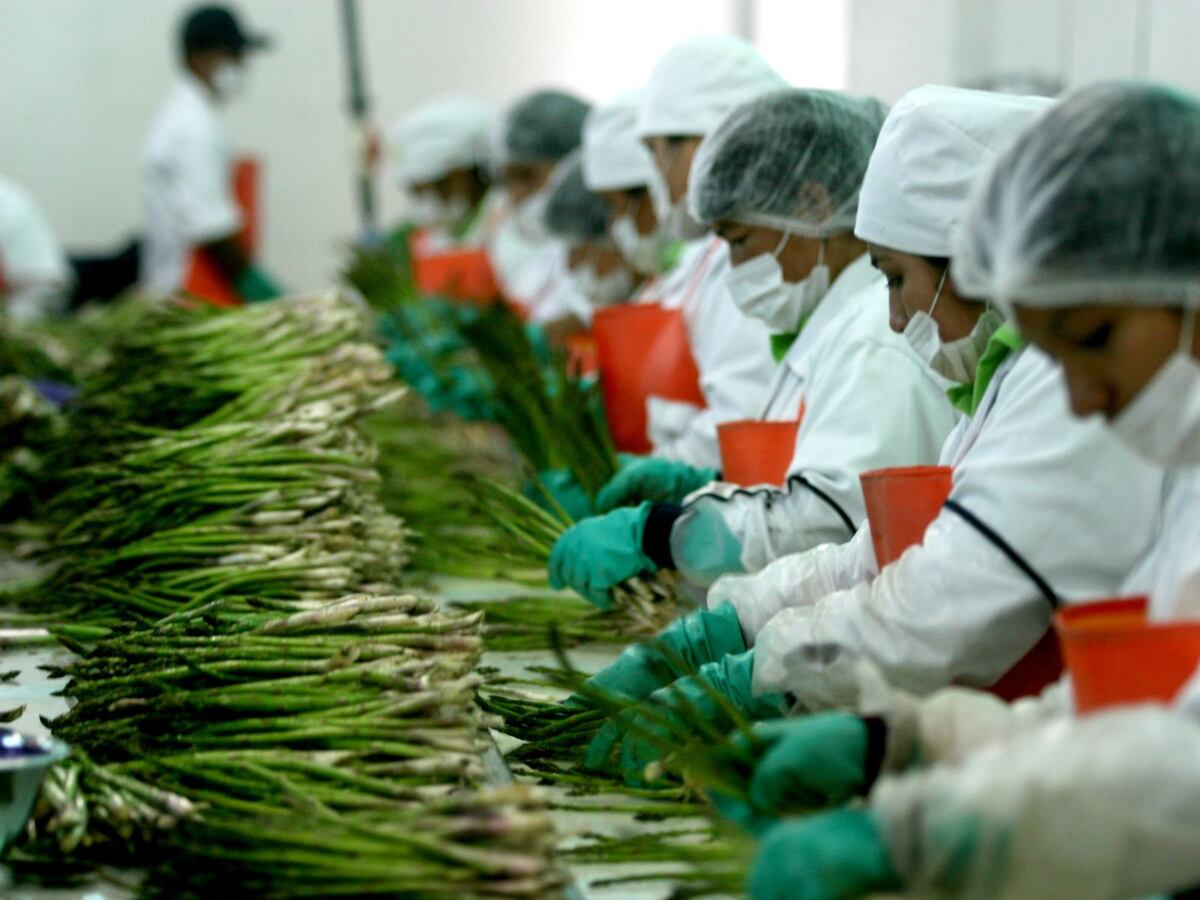 AGROINDUSTRIA