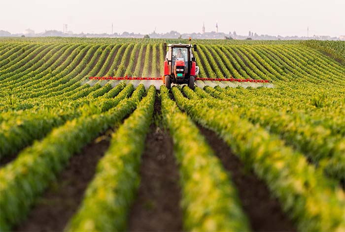 AGRICULTURA