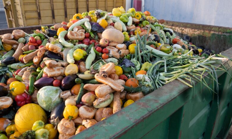 Nueve millones de toneladas de alimentos son desperdiciados en el Perú: ¿Qué pueden hacer las empresas?