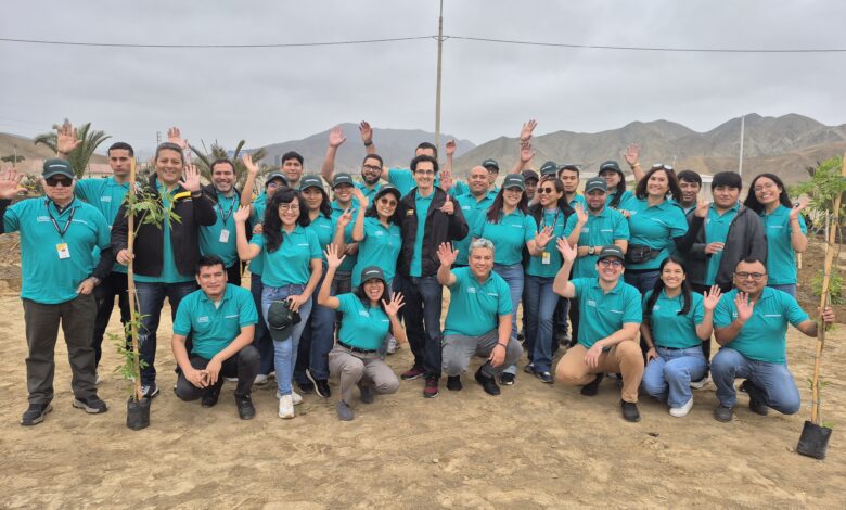 Jungheinrich Perú continúa reforzando su campaña de arborización como parte de su compromiso ambiental con 280 árboles