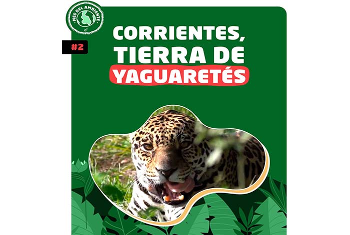 Día Mundial del Ambiente: ocho propuestas audiovisuales para reflexionar y actuar