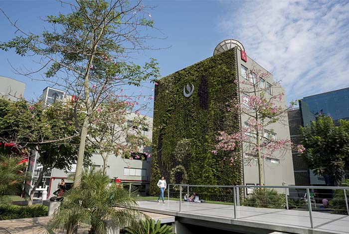 UPC lidera el Impact Rankings 2025 en el Perú por su compromiso con los ODS