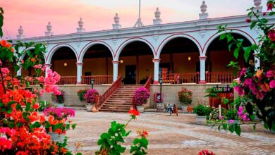 Cyber Days: Llegó la grati, aprovecha y regala experiencias