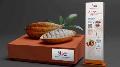 Embajada del Reino de los Países Bajos en Perú presenta “El viaje del cacao”, iniciativa que busca difundir la comercialización de este producto