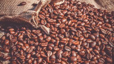Envíos de café peruano superaron los US$ 300 millones