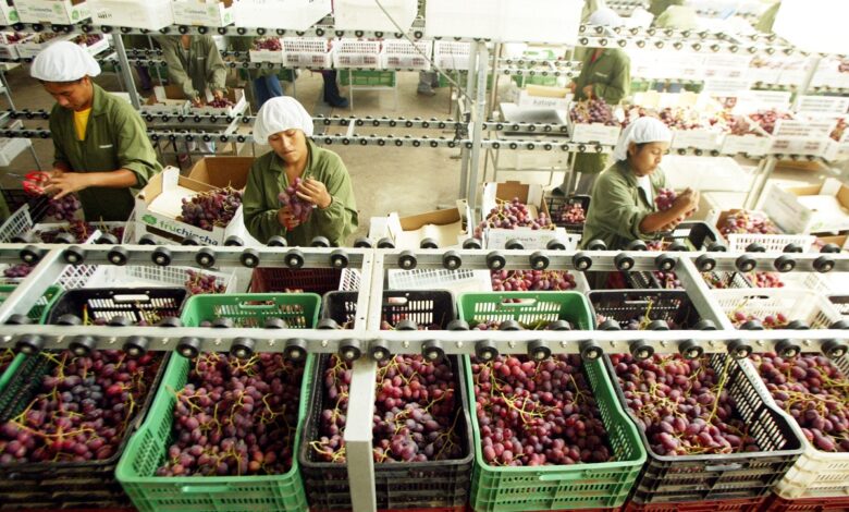 adex: crecen despachos internacionales de frutas peruanas
