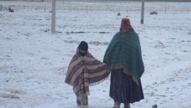 IA contra el frío extremo: una herramienta para salvar vidas en los Andes