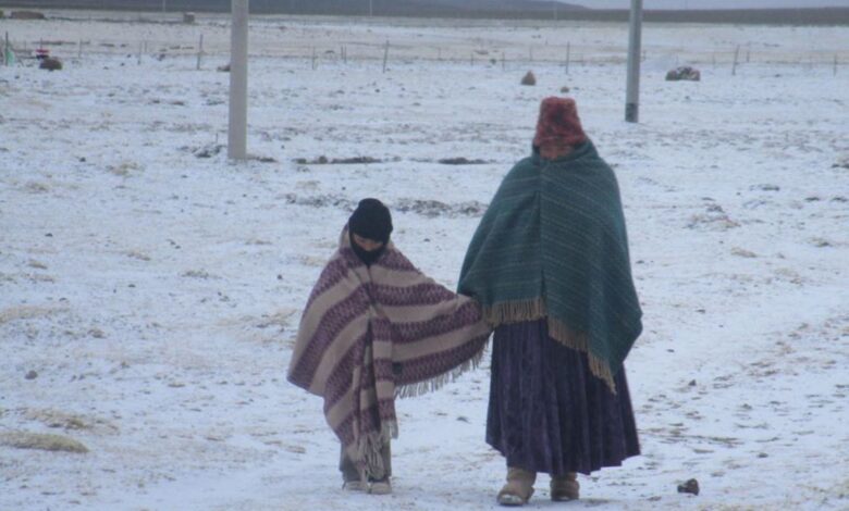 IA contra el frío extremo: una herramienta para salvar vidas en los Andes
