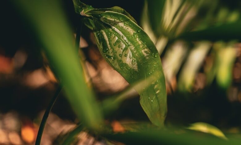 Natura logra un resultado neto de 445 millones de reales en el segundo trimestre del año