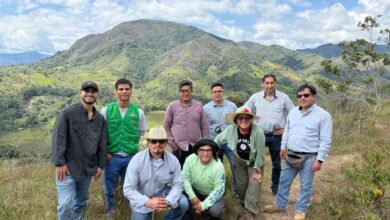 “Semilla de Vida Reforestadoras” impulsa la restauración ecológica en San Martín