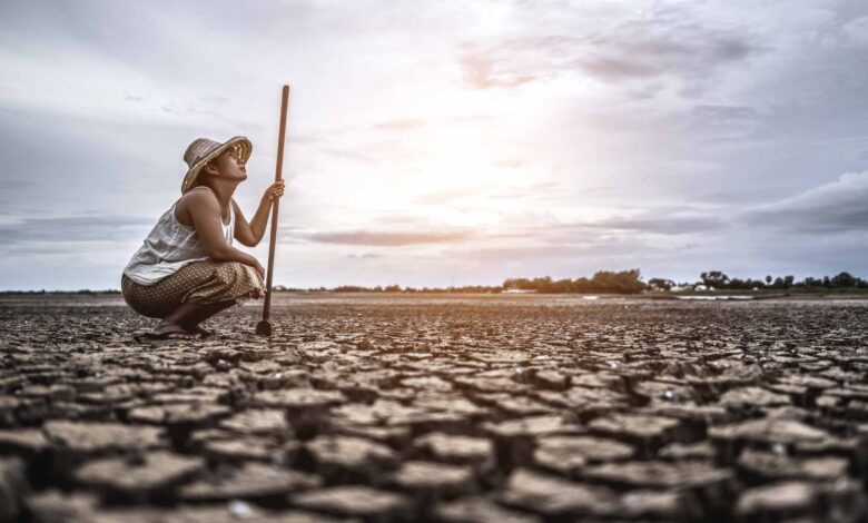 Riego por goteo permite hasta un 90% de eficiencia en el uso del agua