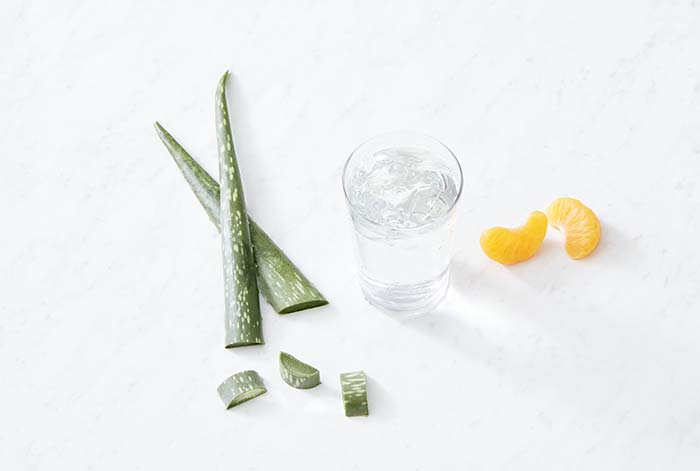 Aloe vera: conoce sus beneficios y cómo hacer una elección segura