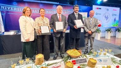 Perú busca Récord Guinness con la ensalada de tarwi más grande del mundo