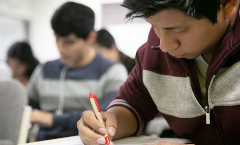 OCDE: hijos de padres profesionales tienen tres veces más probabilidades de cursar estudios superiores