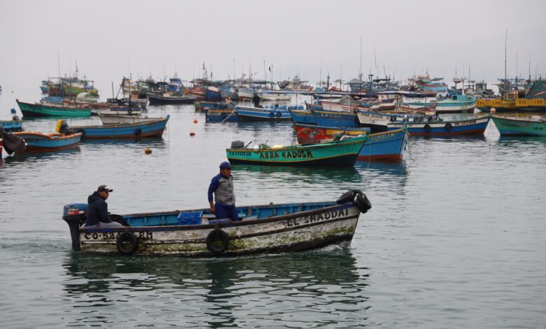 PRODUCE ofrece nuevo programa de créditos extraordinario con tasas de 1% y 2% para pescadores artesanales
