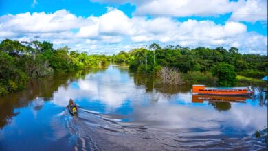 Redescubre la selva y Amazonía del Perú: Sky Airline te conecta con destinos emblemáticos