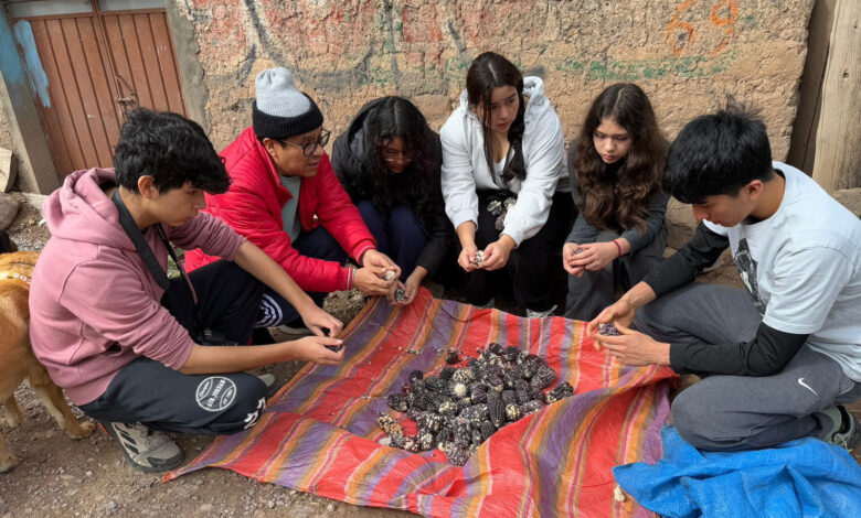 “Fuera de la Jaula”: la propuesta educativa que busca fortalecer el desarrollo emocional y compromiso social en los escolares