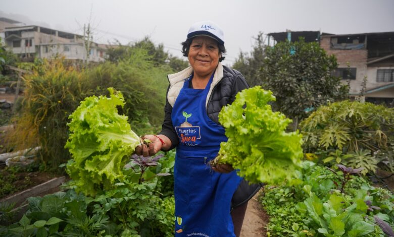 Día de la Alimentación: Conoce cómo los Huertos en Línea promueve la alimentación sostenible