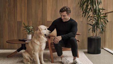 Airbnb presenta nuevas funcionalidades de redes sociales para las Experiencias en Airbnb: