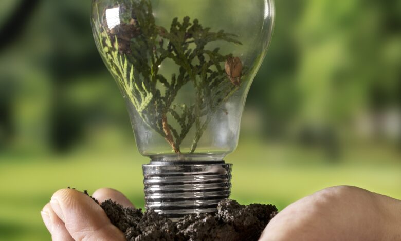 Día Mundial del Ahorro de Energía: 5 acciones para usarla de la mejor forma en casa y seguir conectado