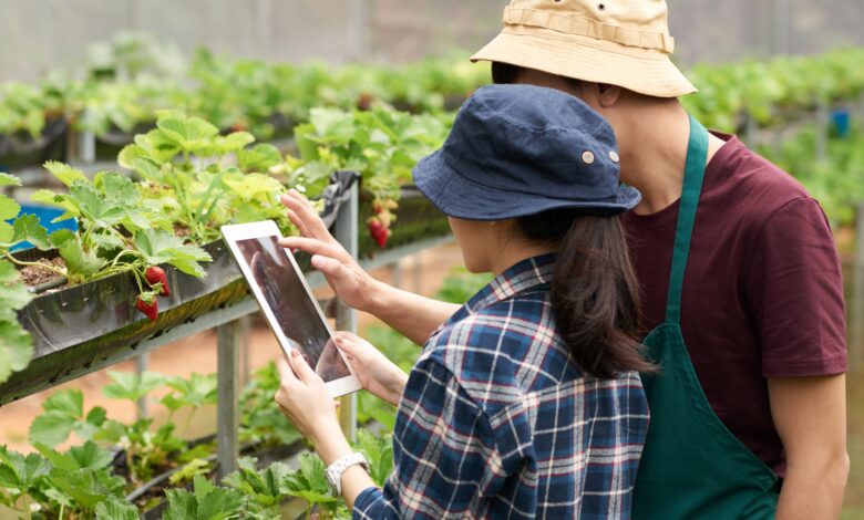 Oracle lanza Government Data Intelligence para Agricultura: una nueva solución de IA que ayuda a los líderes mundiales a crear sistemas alimentarios más resilientes