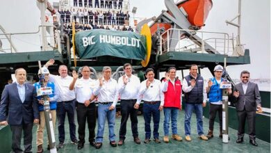 Sociedad Nacional de Industrias saluda inicio de investigación científica en torno al estado del Calamar Gigante o Pota