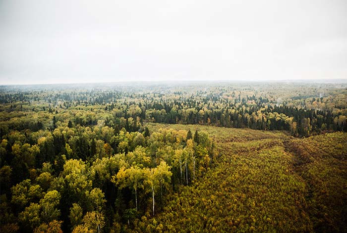 Latinoamérica revela una creciente brecha en la preocupación por el cambio climático en 2025