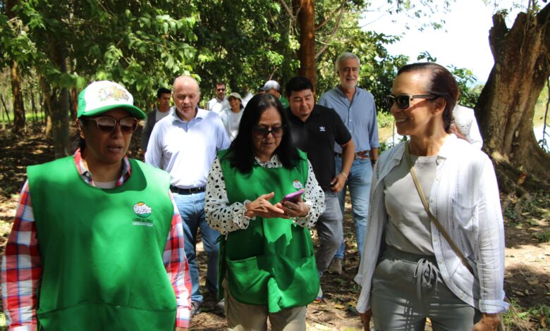 Presidenta de Redeia impulsa la segunda fase del Proyecto "Semilla de Vida Reforestadoras" en San Martín