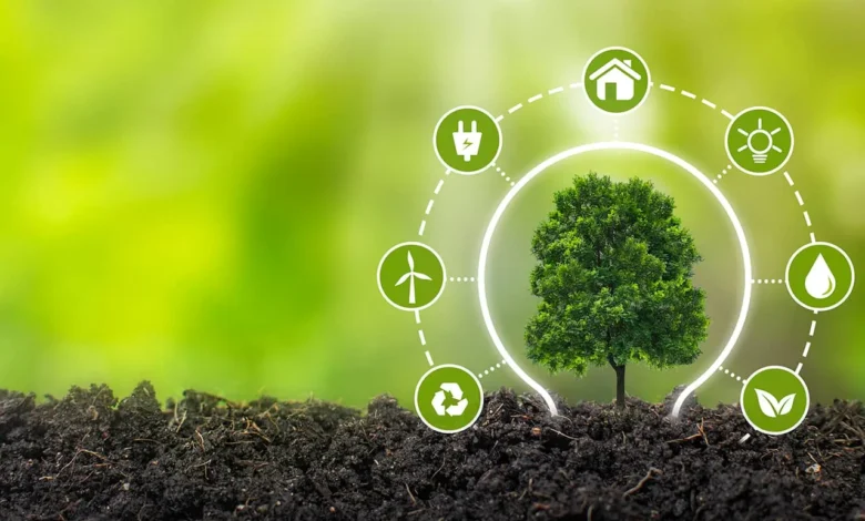 [IPE] Índice Regional de Sostenibilidad Ambiental - IRESA 2025: Tacna lidera la primera edición, mientras que Loreto ocupa el último puesto del ránking