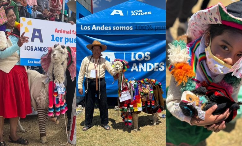 “Animal Fashion” de triunfa en el Premio Comunika por reconectar con comunidades rurales