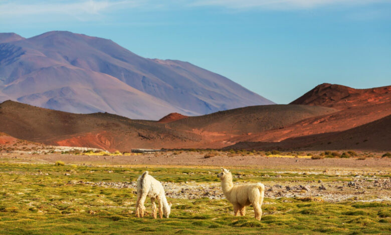 Entre la inversión y la confianza: Un vistazo al Perú y los datos que explican cómo el país mira su desarrollo
