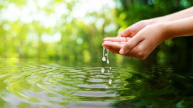 Esta tecnología puede reducir el uso de agua en papel por 36 millones de galones al año