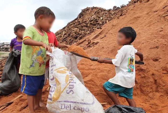 Elecciones 2026: 10 millones de niños y niñas en situación vulnerable exigen que candidatos prioricen medidas de protección frente a la violencia